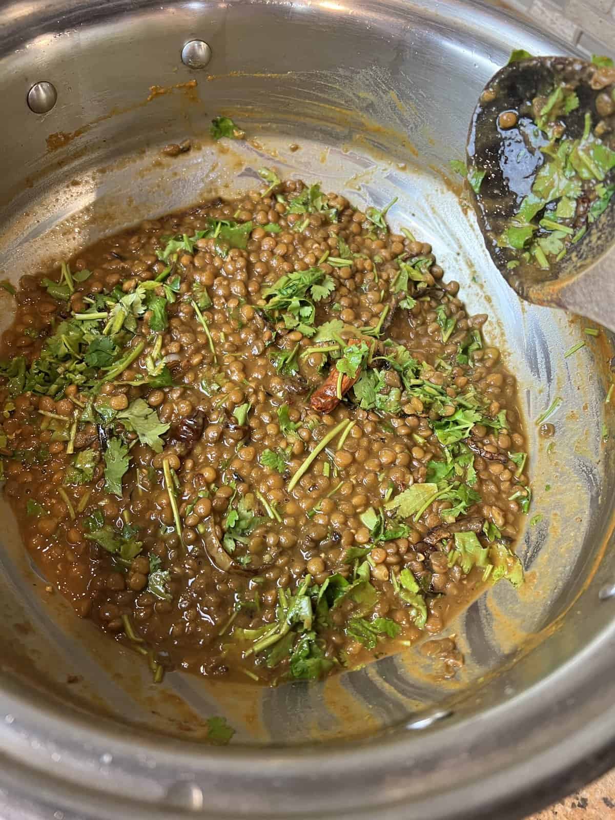 Cooked brown lentils in a stainless steel pot topped with the tadka and chopped cilantro.