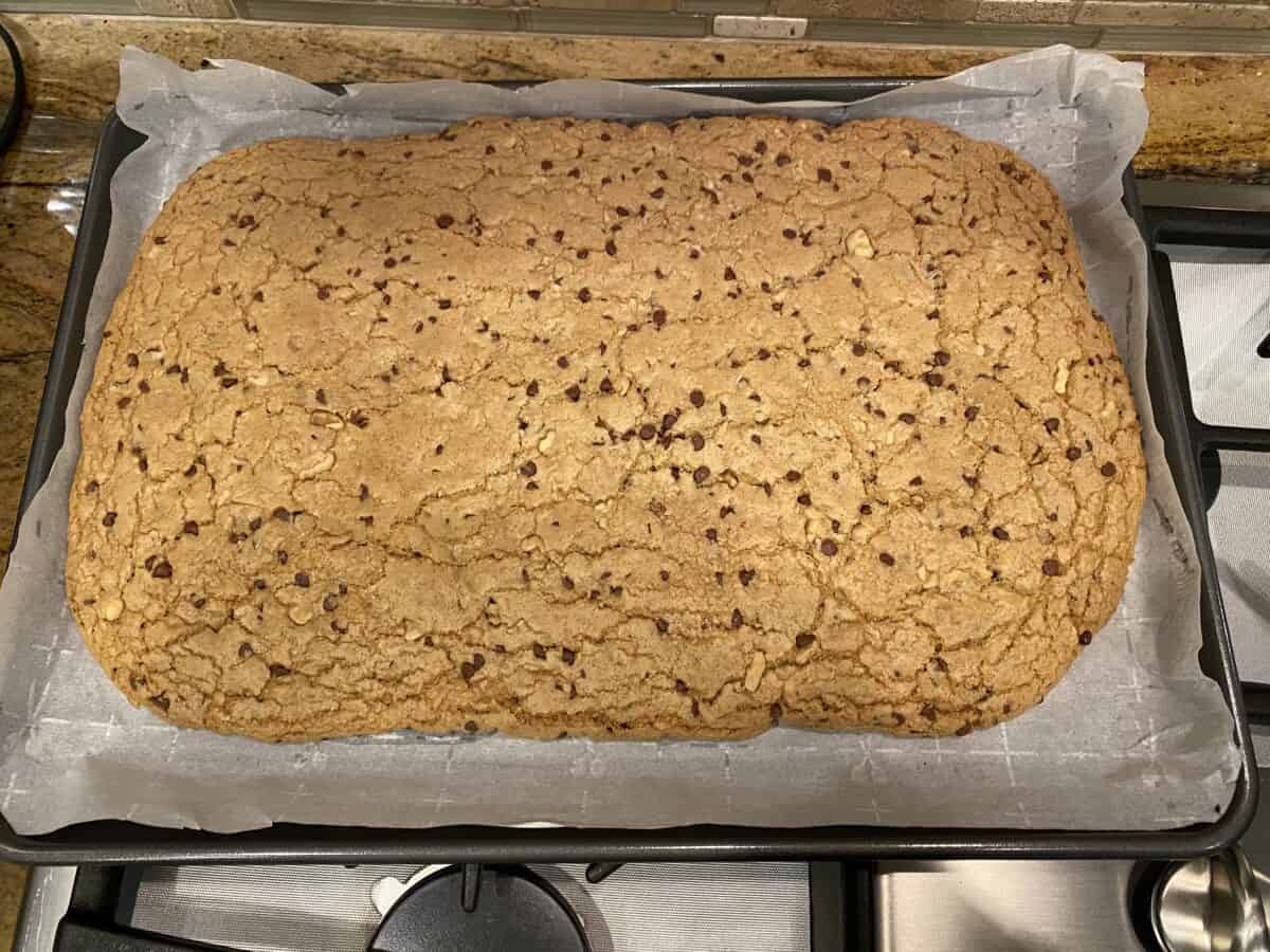 chewy chocolate chip cookie bars