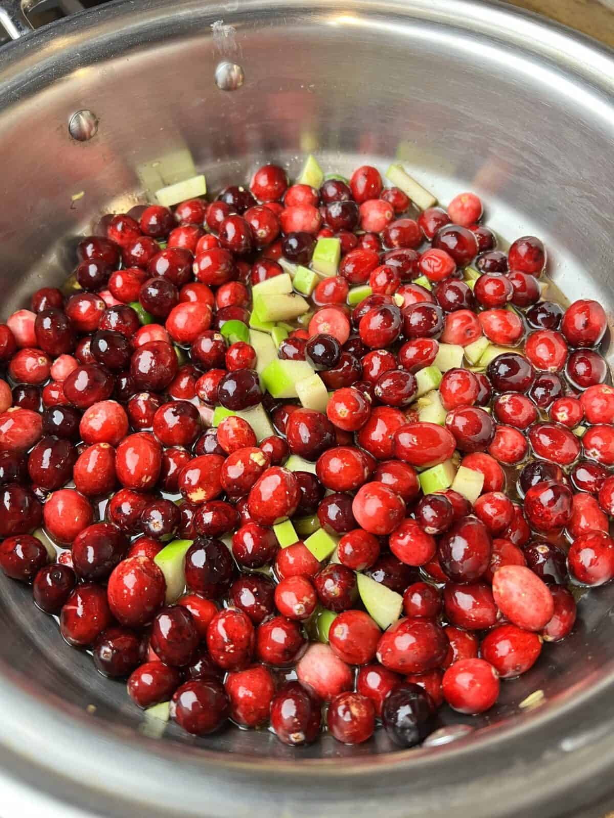 Start Cooking The Cranberry Chutney