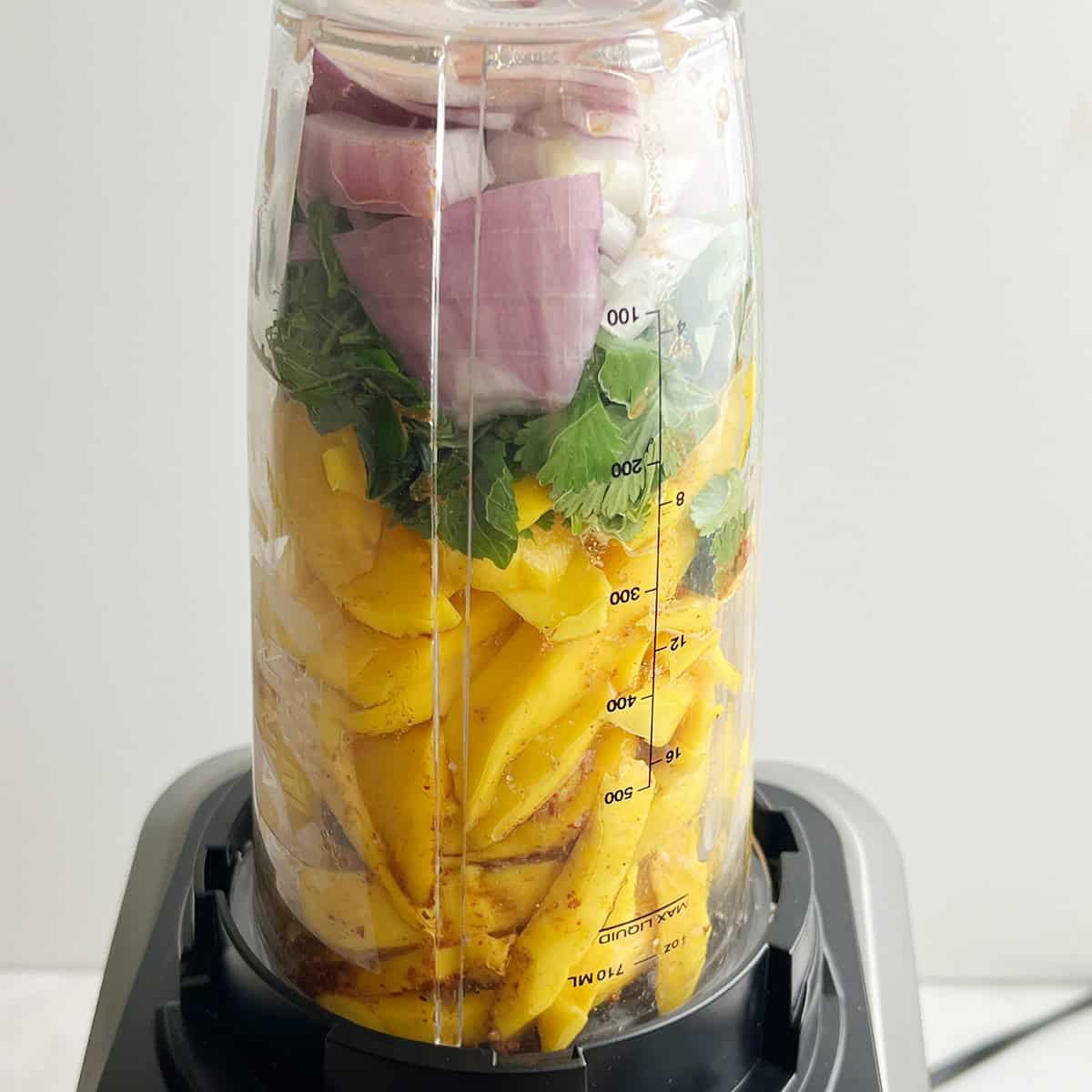 All the ingredients for a raw mango chutney recipe are in a small blender jar.recipe